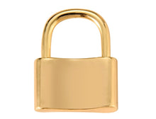 Load image into Gallery viewer, JORDAN Lock It Down Necklace