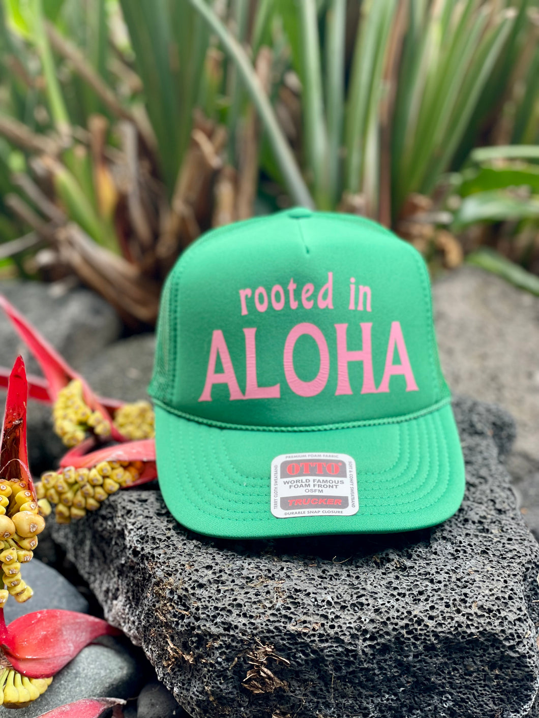 Rooted in Aloha